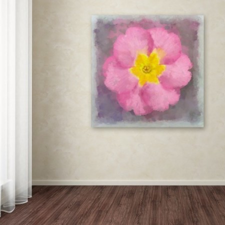 Trademark Fine Art Cora Niele 'Primrose Pink' Canvas Art, 14x14 ALI16464-C1414GG